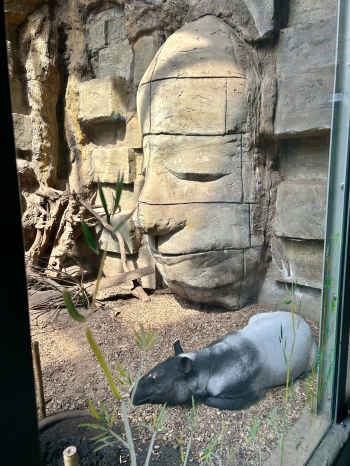 image10.jpeg