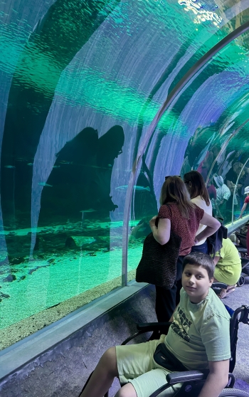 image12.jpeg