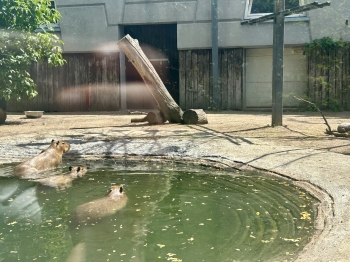 image17.jpeg