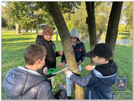 Program mSilnia „Mierzymy świat – matematyka w naturze” - „Pomiary w terenie” kl. IV-V
