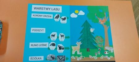 Lapbooki i makiety opisujące warstwy lasu w wykonaniu uczniów z klasy 3c 
